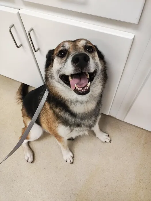 Family Pet Hospital Picture 1