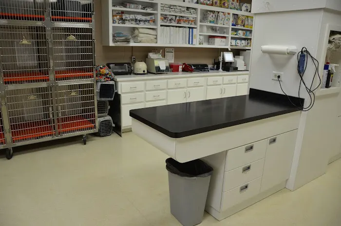 Family Pet Hospital Picture 7