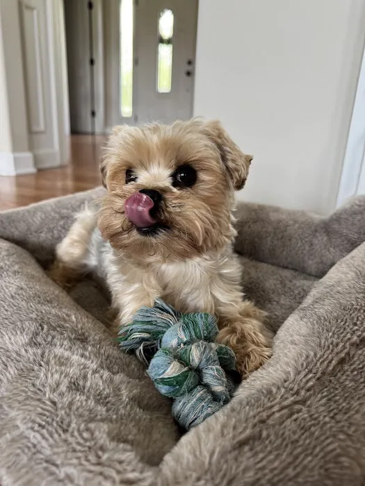 Family Pet Hospital Picture 8