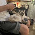 Family Pet Hospital: Burchett Leslie B DVM