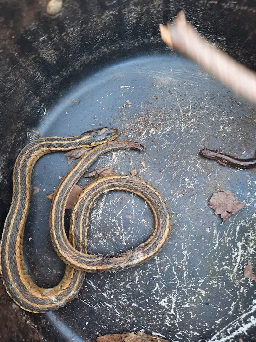 Family Pet Hospital: Burchett Leslie B DVM Picture 2