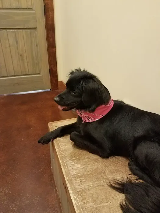 Sango Veterinary Hospital Picture 2