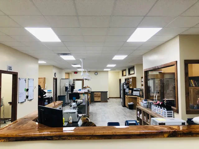 Sango Veterinary Hospital Picture 9