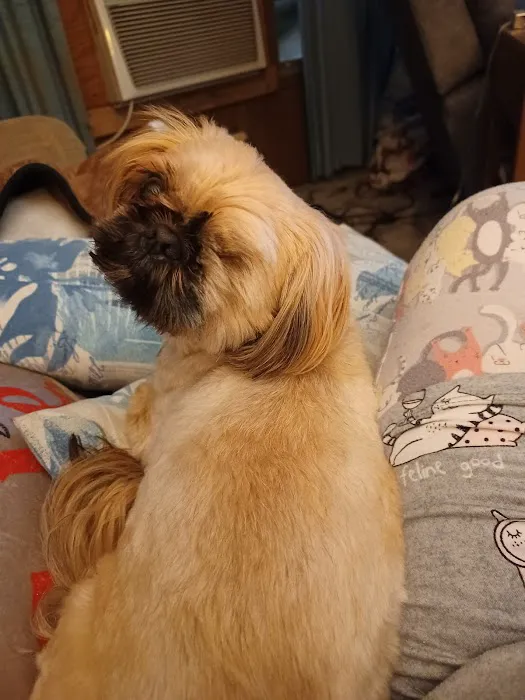 Kingston Springs Animal Hospital Picture 2