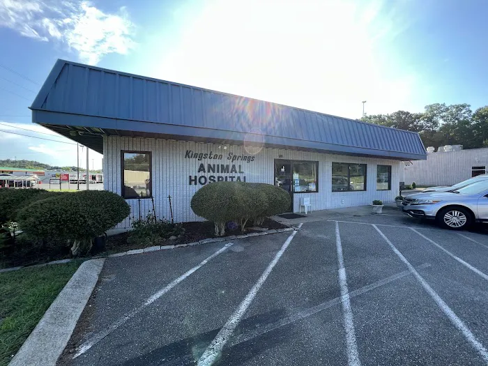 Kingston Springs Animal Hospital Picture 6