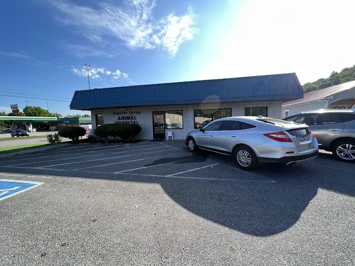 Kingston Springs Animal Hospital Picture 7