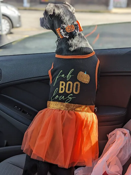 White Bluff Animal Clinic Picture 1