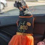 White Bluff Animal Clinic