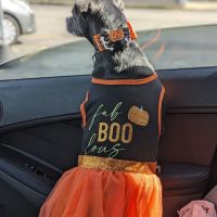 White Bluff Animal Clinic ico