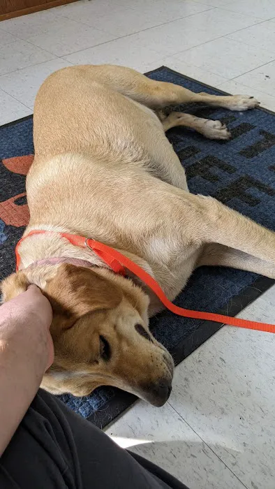 White Bluff Animal Clinic Picture 5