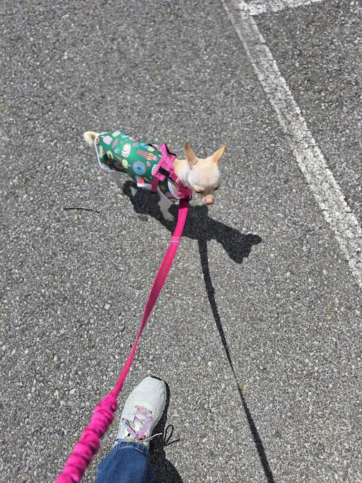 White Bluff Animal Clinic Picture 2