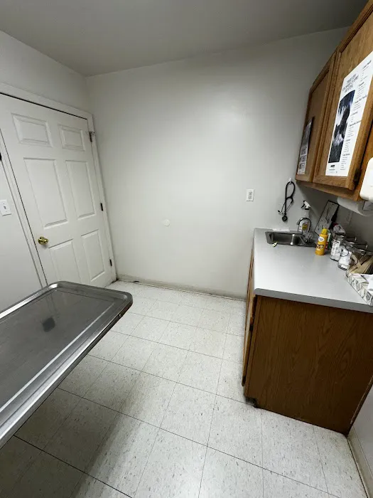 White Bluff Animal Clinic Picture 3