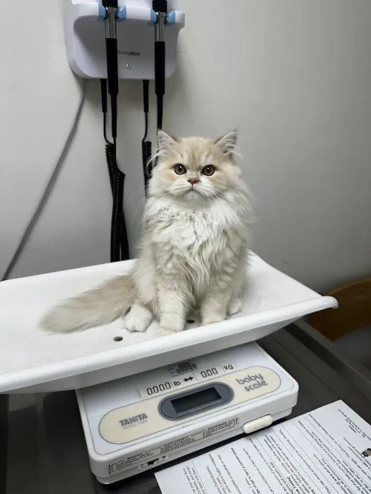 White Bluff Animal Clinic Picture 4