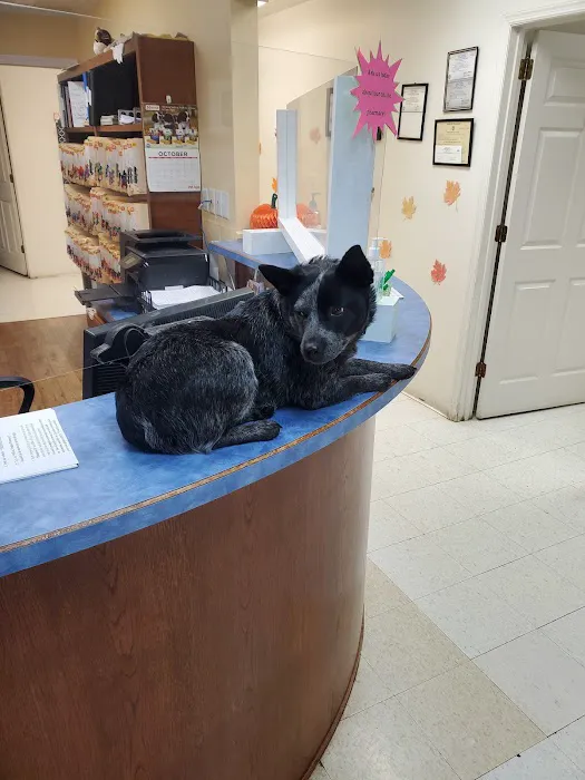 White Bluff Animal Clinic Picture 9