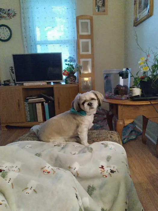 White Bluff Animal Clinic Picture 7