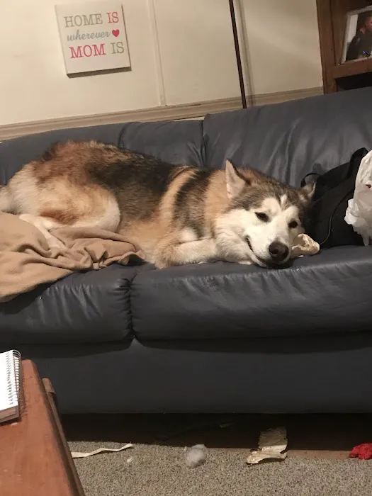 White Bluff Animal Clinic Picture 10