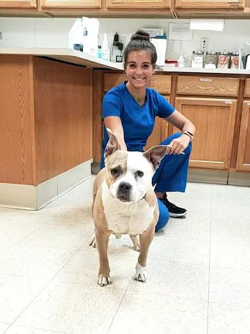 Brown Animal Hospital Picture 8