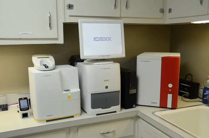 Brown Animal Hospital Picture 6