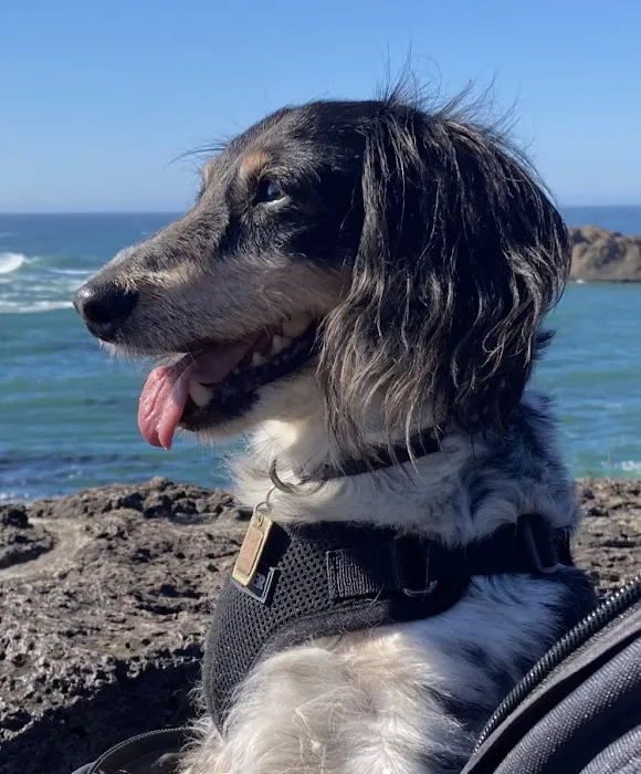 Brown Animal Hospital Picture 9