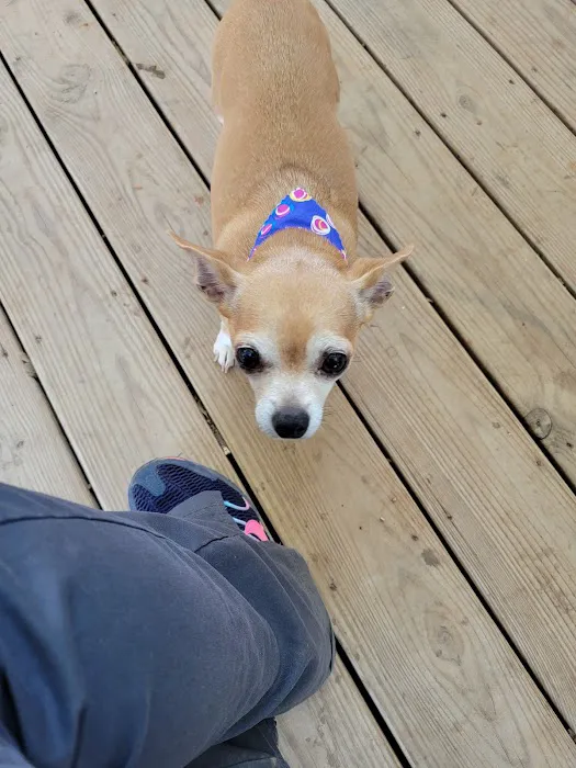 Logan County Animal Clinic Picture 2