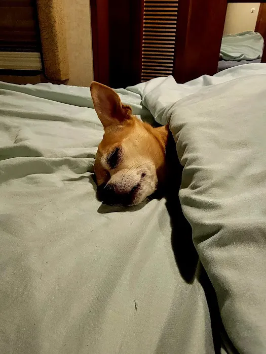 Logan County Animal Clinic Picture 1