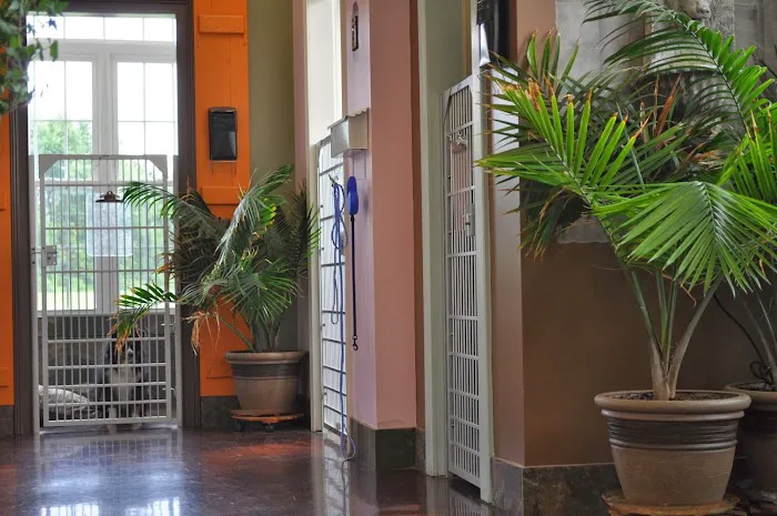 Logan County Animal Clinic Picture 3