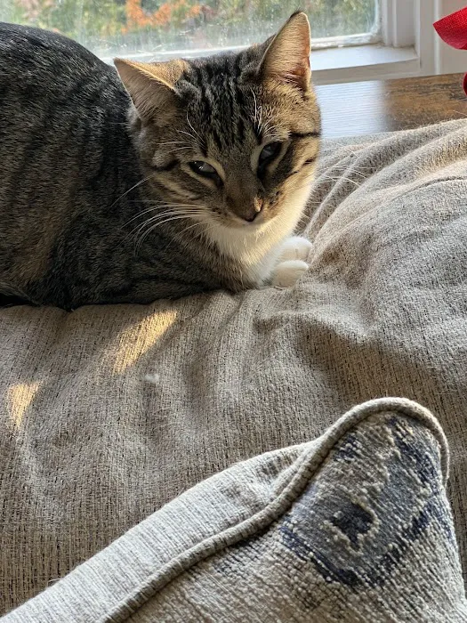 Logan County Animal Clinic Picture 7