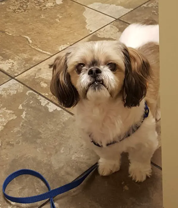 Logan County Animal Clinic Picture 8