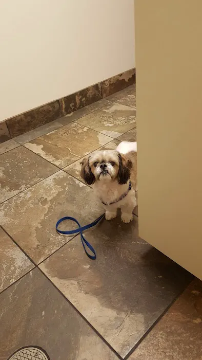 Logan County Animal Clinic Picture 9