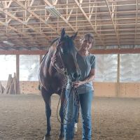 Logan Bethel Veterinary Services ico