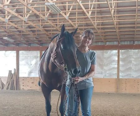 Logan Bethel Veterinary Services