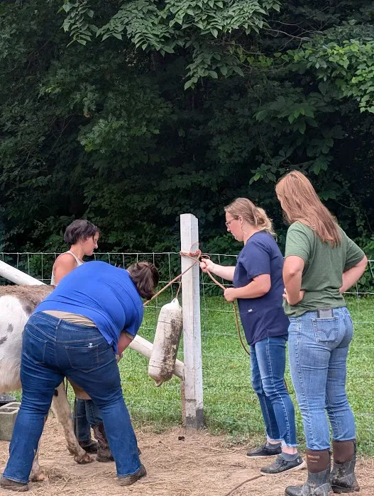 Logan Bethel Veterinary Services Picture 2