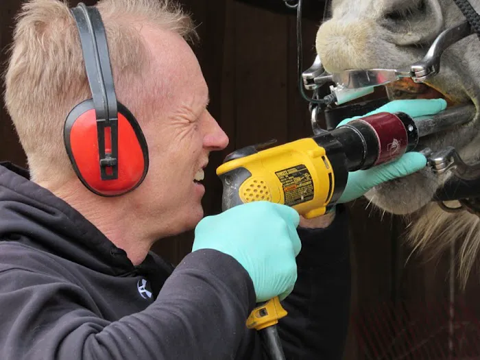 Logan Bethel Veterinary Services Picture 7