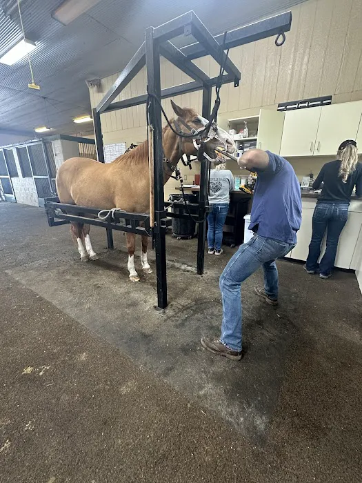 Logan Bethel Veterinary Services Picture 5