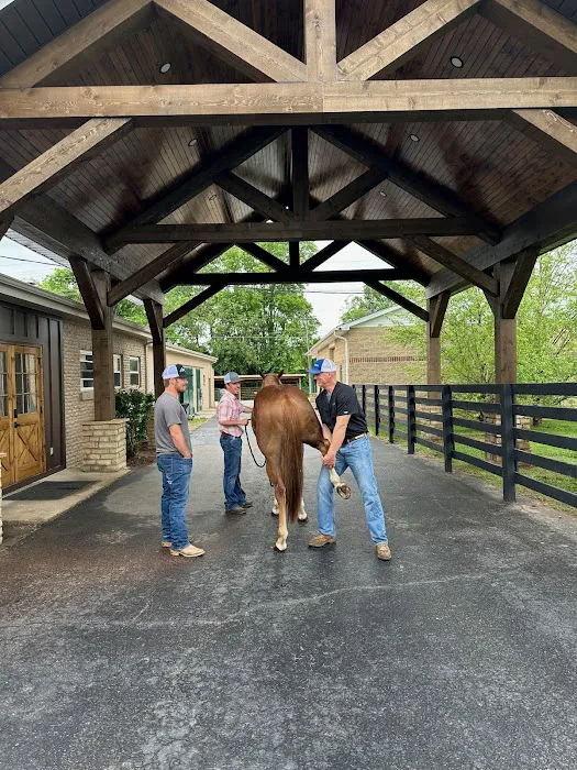 Logan Bethel Veterinary Services Picture 6