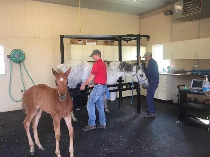 Logan Bethel Veterinary Services Picture 8