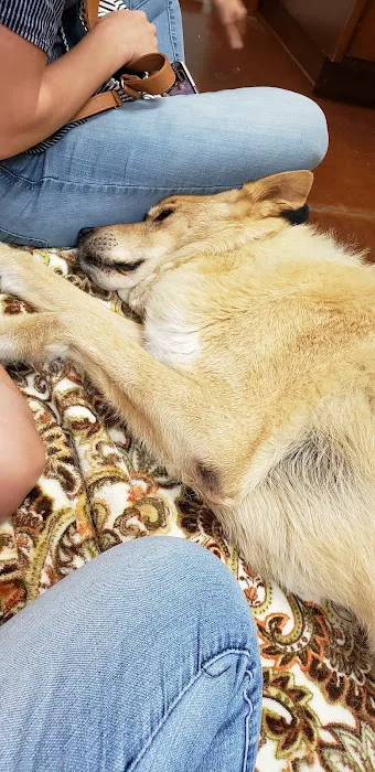 Cornerstone Veterinary Services Picture 1