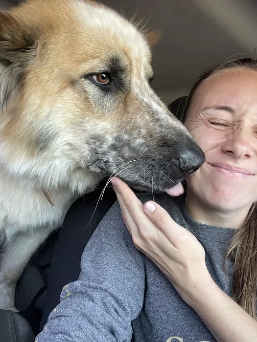 Cornerstone Veterinary Services Picture 2