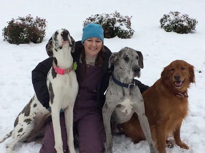 Todd County Animal Clinic, Inc. Picture 1