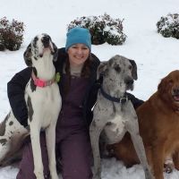 Todd County Animal Clinic, Inc. ico