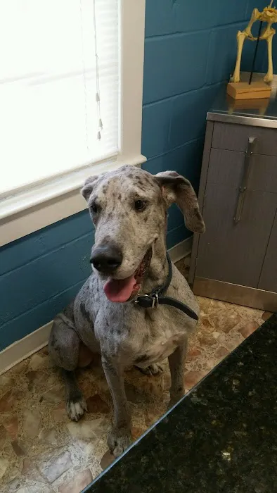 Todd County Animal Clinic, Inc. Picture 5