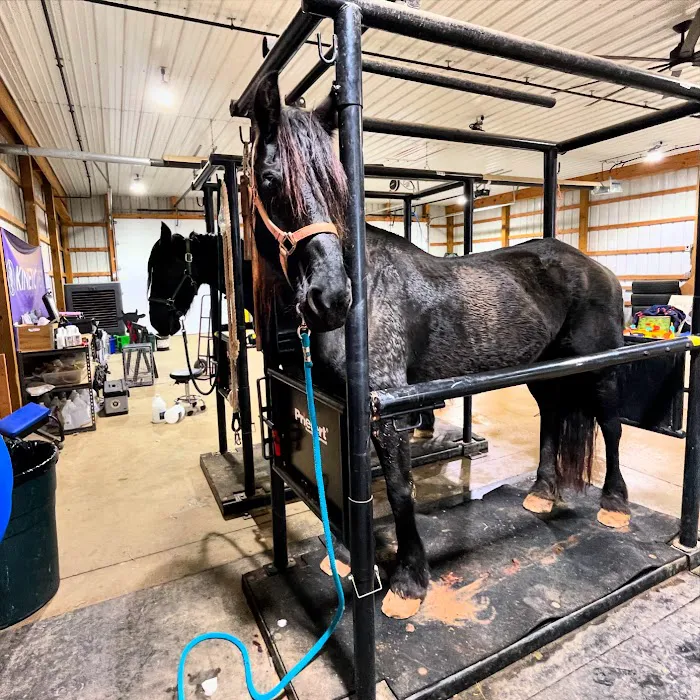 Todd County Animal Clinic, Inc. Picture 2