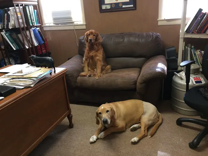 Todd County Animal Clinic, Inc. Picture 3