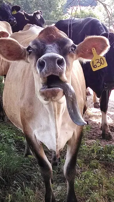 Todd County Animal Clinic, Inc. Picture 9