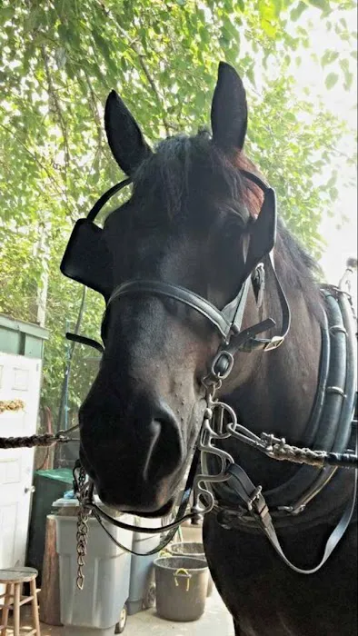 Todd County Animal Clinic, Inc. Picture 6