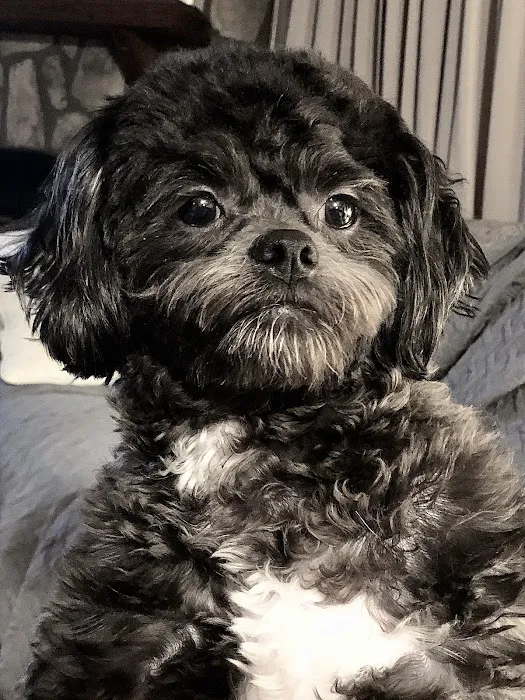 Todd County Animal Clinic, Inc. Picture 7