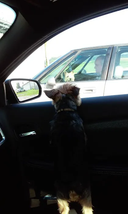 Crossroads Animal Clinic Picture 1