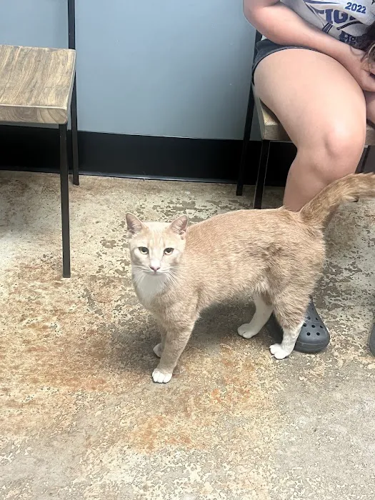 Sylacauga Veterinary Hospital Picture 1