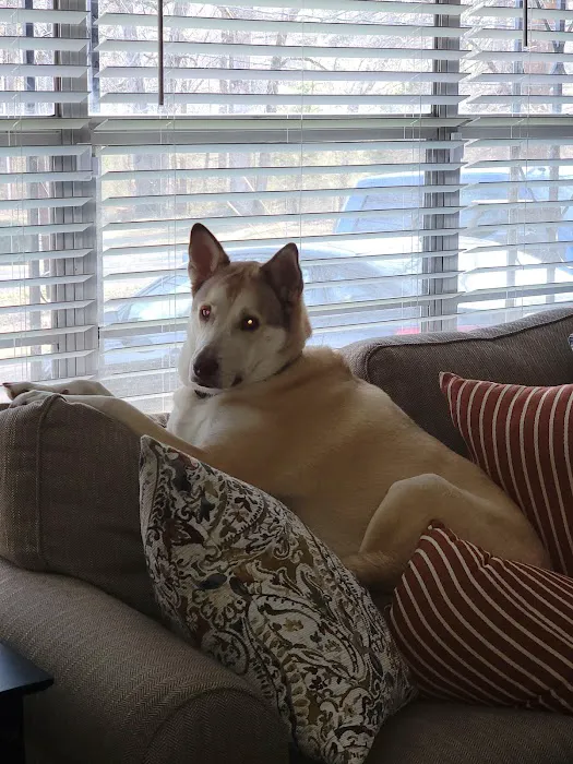 Sylacauga Veterinary Hospital Picture 3