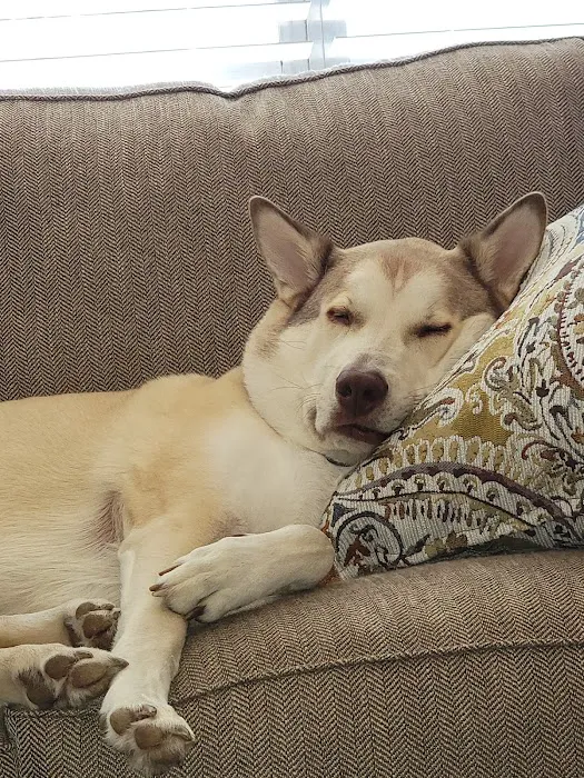 Sylacauga Veterinary Hospital Picture 7